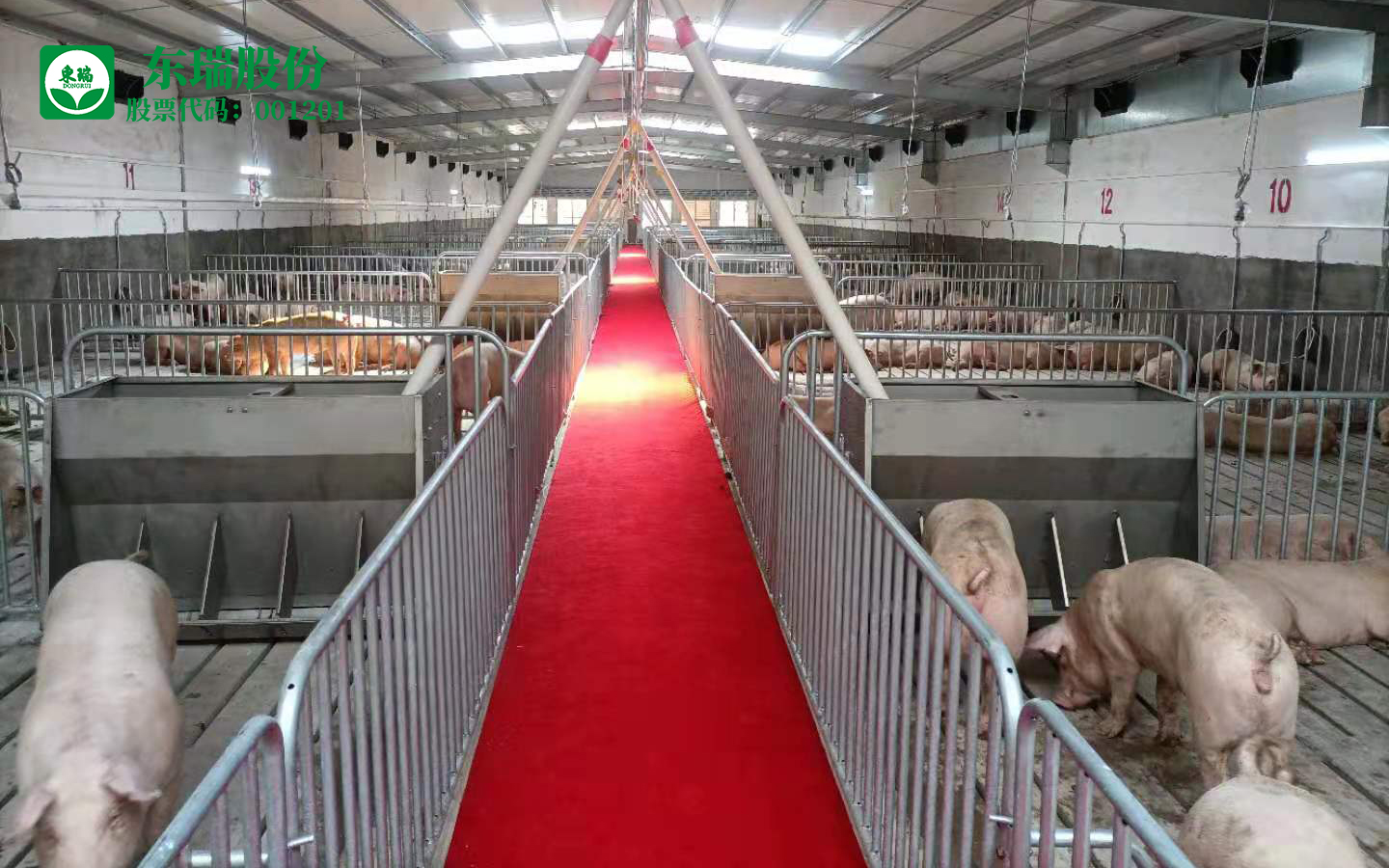 1622455411117586.jpeg 1622455411117586.jpeg